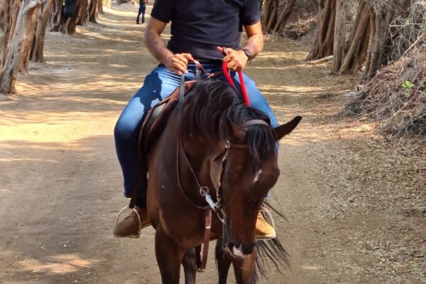 Horse riding event 13-11-2021 (11)